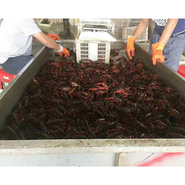 潜江龙虾(图)-成品虾养殖-成品虾